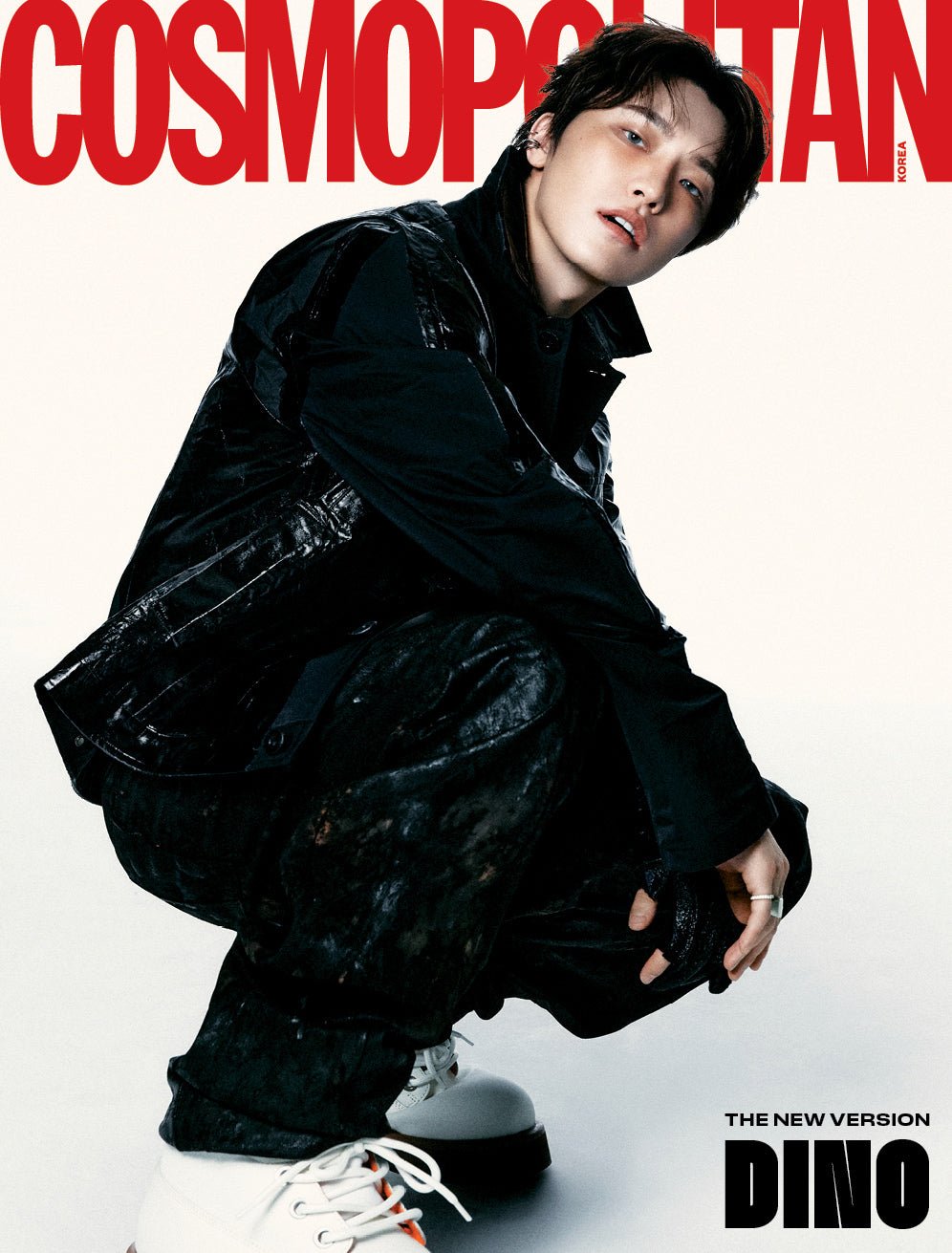 Seventeen Official Collection | Albums, Merch & Lightsticks – Baro7