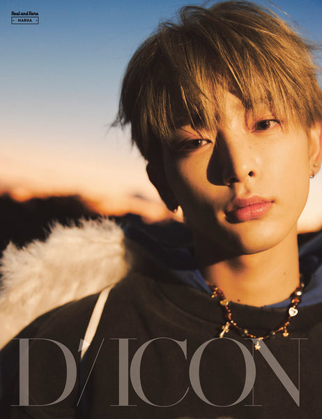 dicon-volume-n028-team-real-