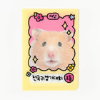 Hamster Mini L - Holder - Baro7 Best Kpop Store