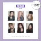 IVE - 2nd Album [REVIVE+] LOVED IVE Ver. / GIFT - Baro7 Best Kpop Store