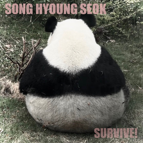 SONG HYOUNG SEOK - 1st Album [SURVIVE] - Baro7 Best Kpop Store